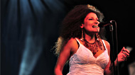 Luminato world music showcase
