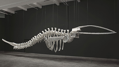 Cetology (2002). Plastic Chairs. Photo: Trevor Mills/Courtesy Vancouver Art Gallery.