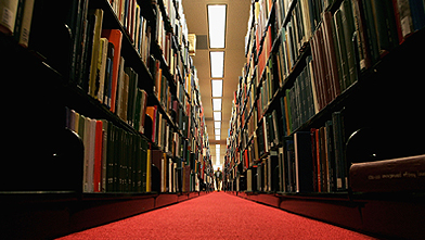 Collected wisdom: Libraries such as this one are vital to our public life, argues writer Alberto Manguel. (Photo by Justin Sullivan/Getty Images)