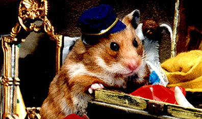 Kosher hamster: Canada's number one media rodent. Courtesy Hammytime Publishing Inc.