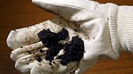 Water pollution