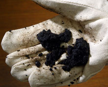 Bitumen