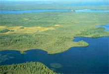 Alberta's boreal forest - picture courtest Alberta Heritage
