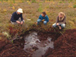 Baltzer�s Bog