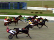 Harness Racing