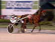 Harness Racing