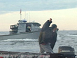 Native Fishery