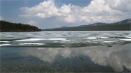 Winter 2009