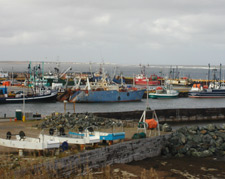 Herring Seiner