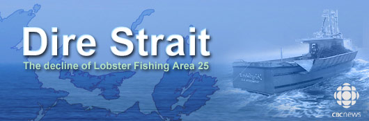 Dire Strait - The decline of Lobster Fishing Area 25