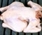 Meat Selection