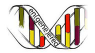 En-gene-ered